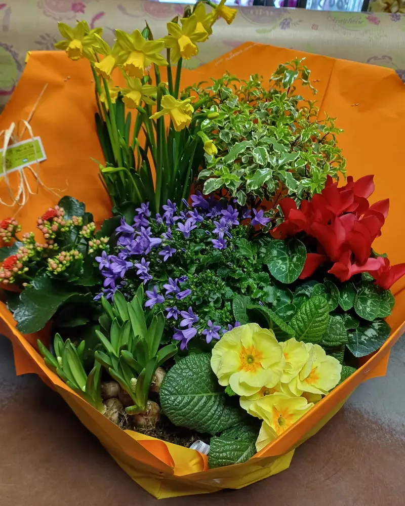 Coupe de plantes printanière