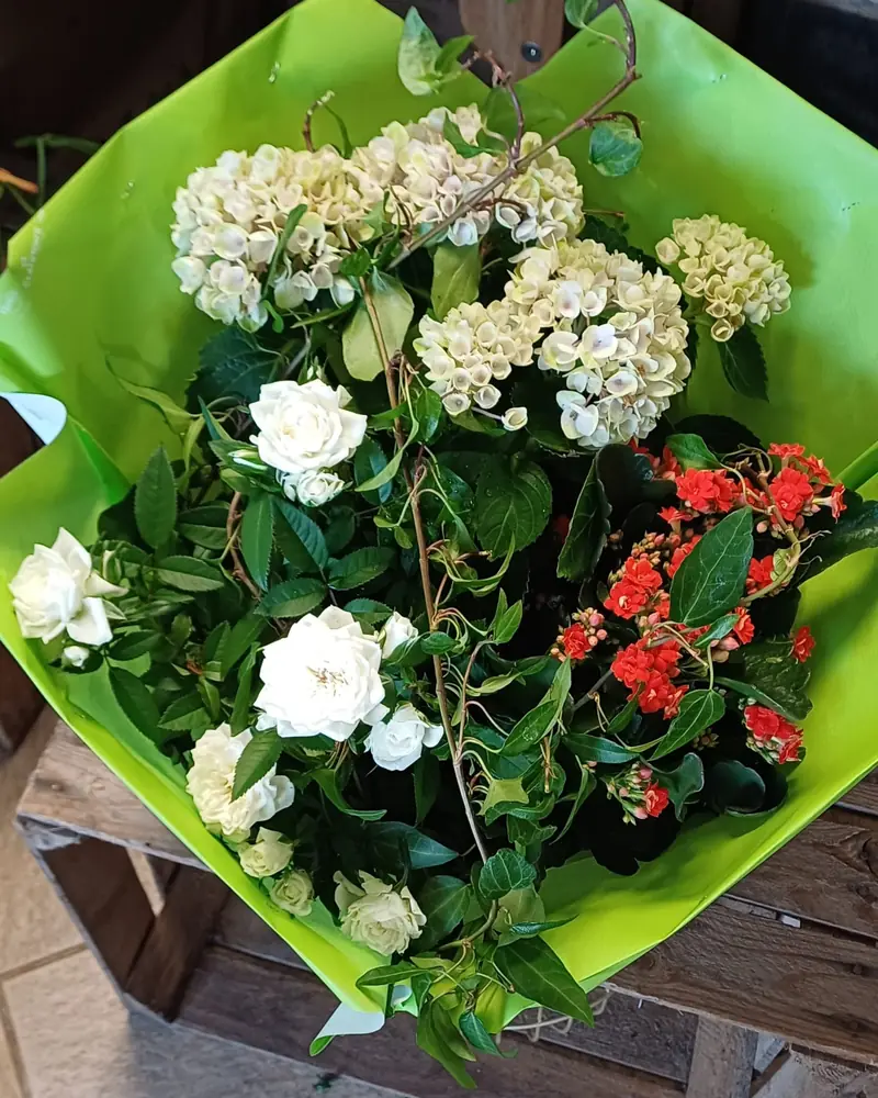 Coupe de plantes et fleurs blanches