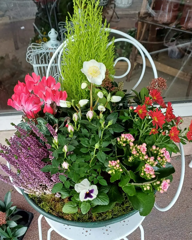 Coupe de plantes fleuries
